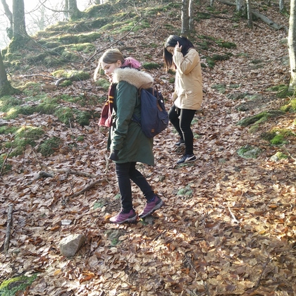 Scouter i skogen
